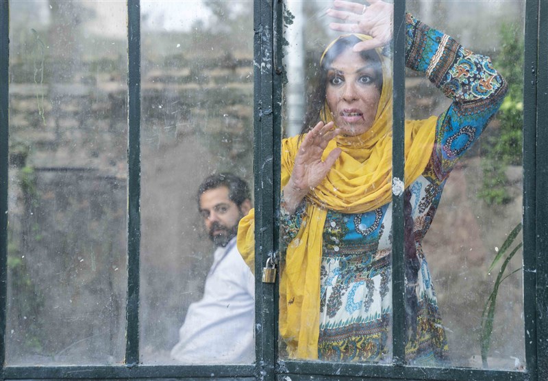 فیلم , سینما , سازمان سینمایی ,