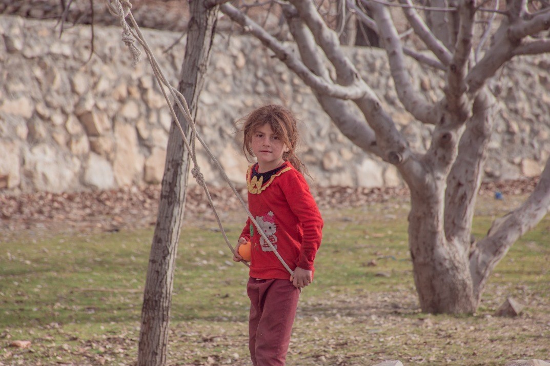 مستند , شبکه مستند , تلویزیون , طبیعت , سینمای ایران ,