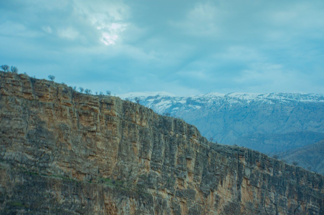 مستند , شبکه مستند , تلویزیون , طبیعت , سینمای ایران ,