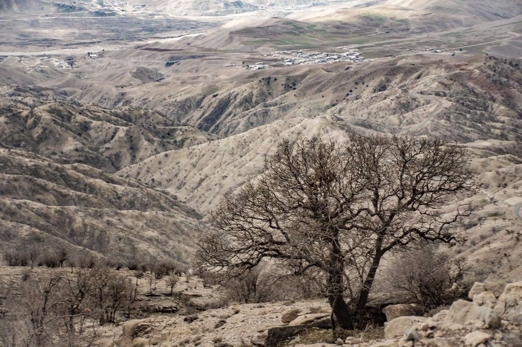 مستند , شبکه مستند , تلویزیون , طبیعت , سینمای ایران ,