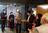 کافه سینرژی با حضور جمعی از فعالان اکوسیستم نوآوری کشور افتتاح شد