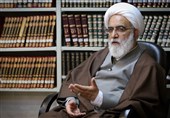 آیت‌الله شب‌ زنده‌دار: همه باید اجناس فرانسوی را تحریم کنند