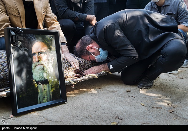 سینما , شبکه نمایش خانگی , فیلم , 