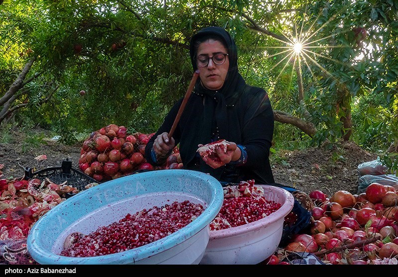 استان لرستان , اخبار استان لرستان , اخبار کوهدشت , 