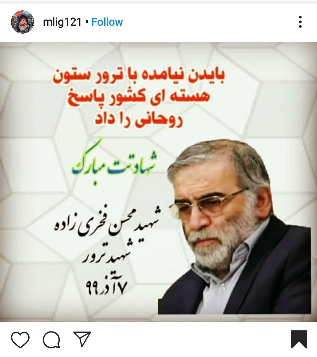 شهدای هسته‌ای , شهدای ترور , شهید فخری زاده , شهید , فیلم , عکس , 