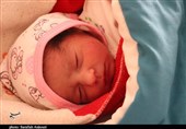 افزایش ضریب هوشی کودک با مصرف "شیر مادر"