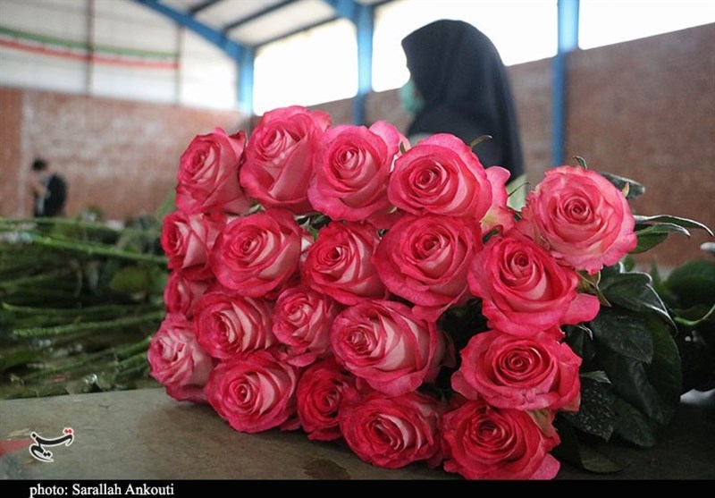 استان کرمان , 