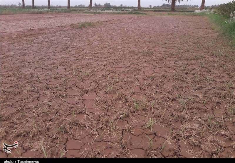 استان کرمان , سیل , 