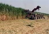 رئیس مجمع نمایندگان خوزستان: برای تداوم تولید و اشتغال باید مالکان فعلی هفت تپه خلع ید شوند