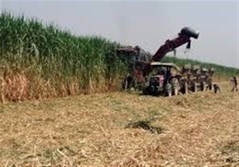 سازمان خصوصی‌سازی , دولت دوازدهم جمهوری اسلامی ایران , قوه مجریه , قوه مقننه , قوه قضائیه , کمیسیون اصل نود قانون اساسی مجلس شورای اسلامی ایران , 