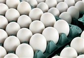 کشف 4 تن تخم‌مرغ قاچاق در بیرجند