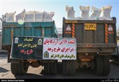 چهل و یکمین مرحله طرح رعد