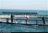 افزایش حجم سرمایه‌گذاری پرورش آبزیان اوقاف در سواحل بوشهر