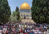 سینمای جهان اسلام|سینمایی فاقد اتاق فکر و جشنواره‌های جهانی/ چرا فیلمسازان مسلمان یکدیگر را نمی‌شناسند؟