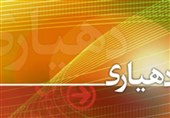 مجلس پیگیر سهم شهرداری‌ها و دهیاری‌ها از درآمدهای گمرکی شد