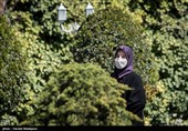 لعیا جنیدی معاون حقوقی رئیس جمهور در حاشیه جلسه هیئت دولت