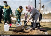 مراسم کاشت درخت صلح و دوستی
