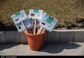 مراسم کاشت درخت صلح و دوستی