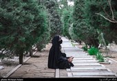 زیارت گلزار شهدای بهشت زهرا(س) تهران در شب جمعه آخرسال