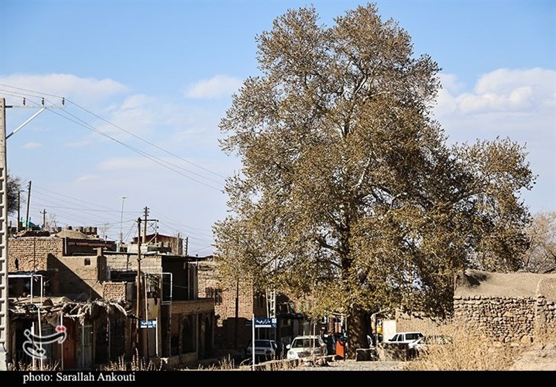 استان کرمان , 