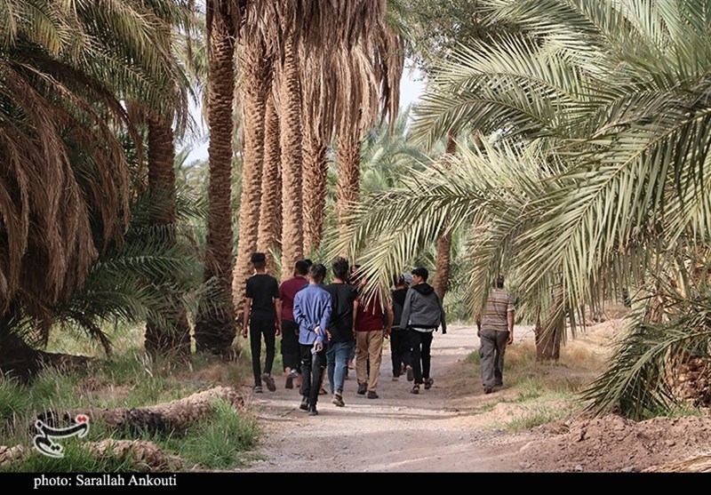 استان کرمان , 