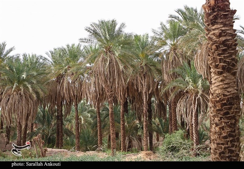 استان کرمان , 