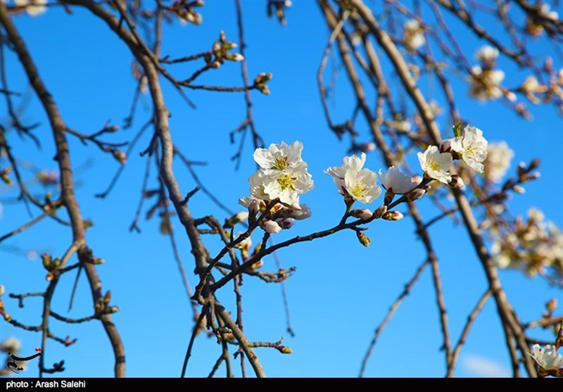 استانداری قزوین , شورای اسلامی استان قزوین , گردشگری سلامت , عید نوروز , 