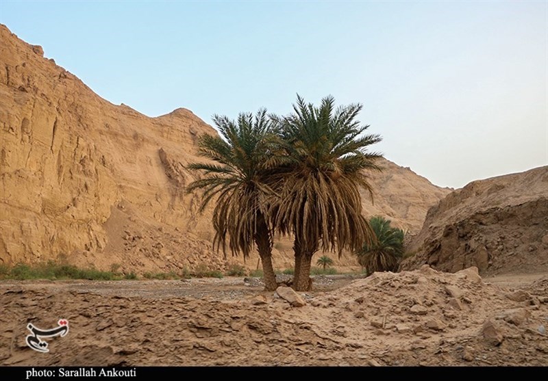استان کرمان , 