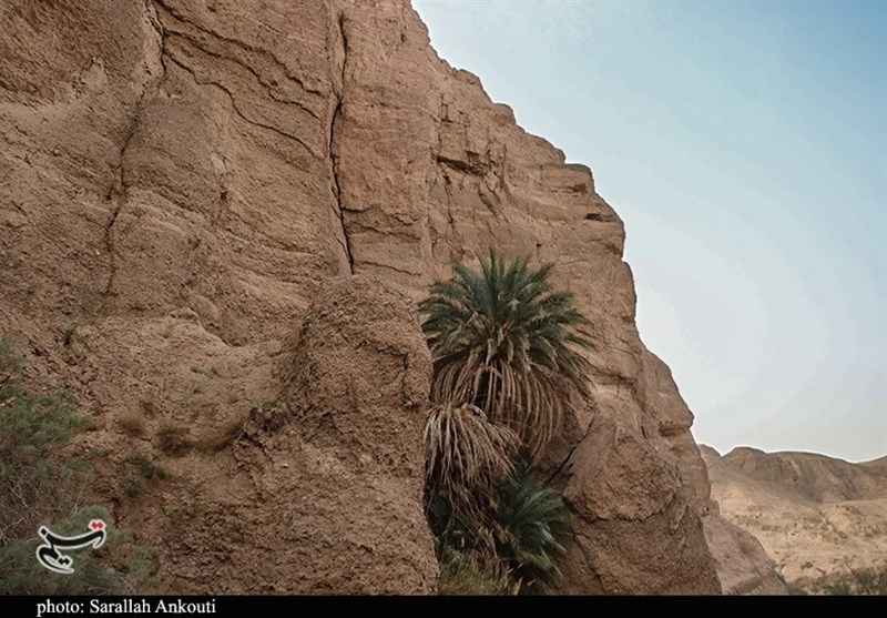 استان کرمان , 
