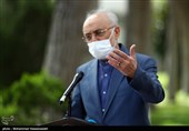 علی‌اکبر صالحی رئیس سازمان انرژی اتمی در حاشیه جلسه هیئت دولت 