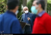 علی‌اکبر صالحی رئیس سازمان انرژی اتمی در حاشیه جلسه هیئت دولت 