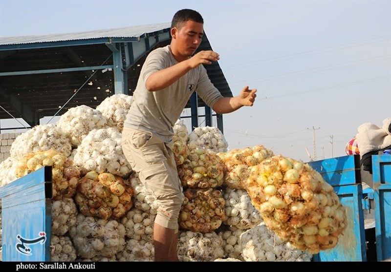 استان کرمان , کشاورزی ,