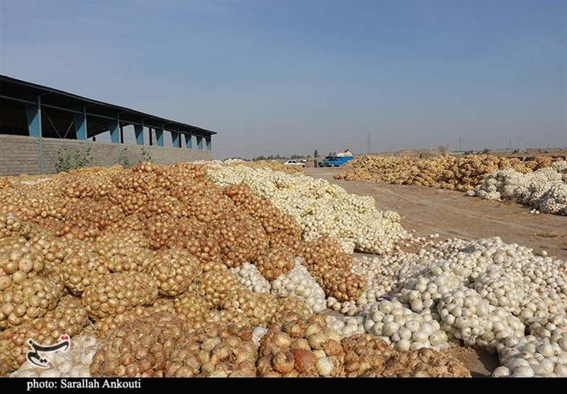 استان کرمان , کشاورزی ,