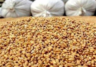 برنامه جدید کاهش وابستگی به واردات نهاده‌های دامی اعلام شد