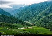 وقتی ریزگردها و آفات ریه‌های  زاگرس را به خِس‌خِس انداخته /  رسوب گرد و غبار تهدیدی برای حیات گیاهان جنگل‌های استان کرمانشاه است