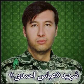 لشکر فاطمیون , شهدای مدافع حرم , خانواده شهدا , جبهه مقاومت اسلامی , 