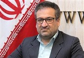 لزوم هم‌افزایی دولت ومجلس برای مقابله با مافیا در صنعت خودرو