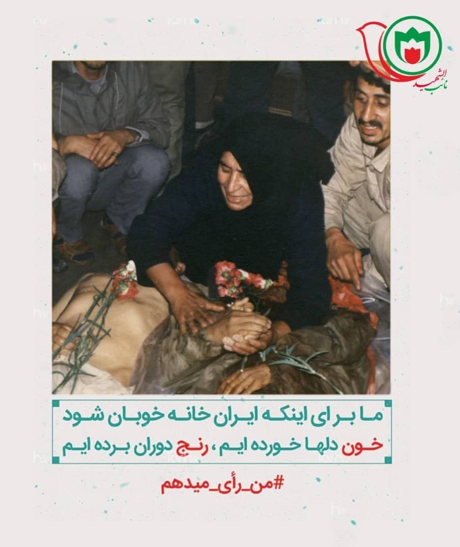طرح نائب الشهید , خانواده شهدا , 