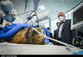 بازدید سورنا ستاری معاون علمی و فناوری رییس جمهور از ربات بومی سازی شده جراحی از راه دور سینا 