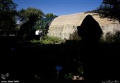 مزرعه خانواده  بوستان اجتماعی نارنج در حاشیه بهره برداری از پروژه های مدیریت شهری منطقه 14 
