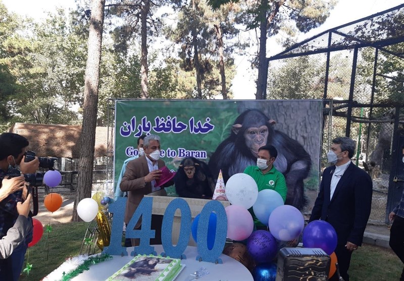 پرنده , 