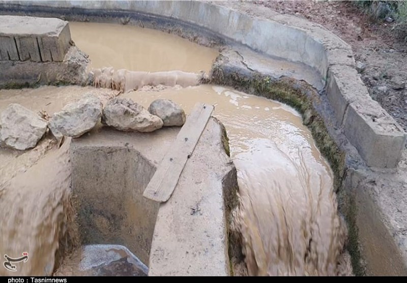سیل , 