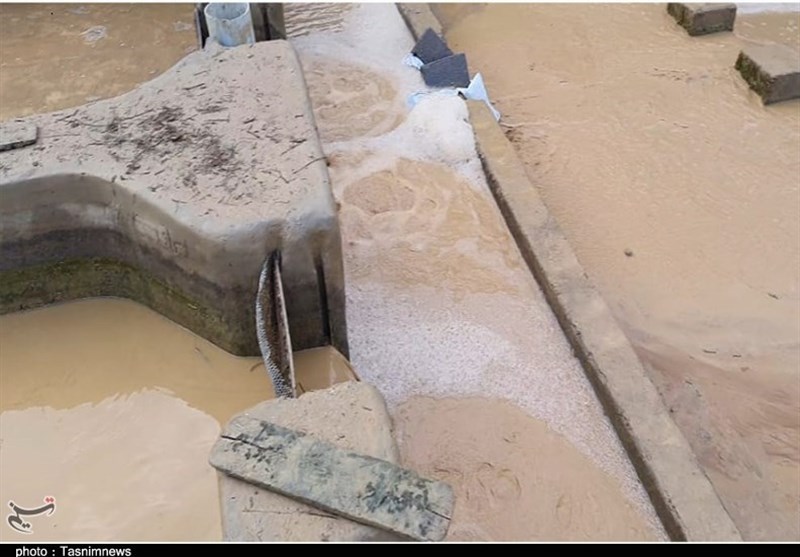سیل , 