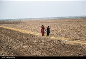 در مسیر سوسنگرد به بستان هنوز آب مورد نیاز به آن مناطق نرسیده و کشاورزان و دامداران همچنان منتظر رهاسازی بیشتری هستند