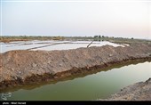 رهاسازی آب در سوسنگرد