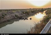 رهاسازی آب بصورت موقت صورت گرفته و در جاهایی کشاورزان حاشیه سوسنگرد توانستند به آب دسترسی پیدا کنند