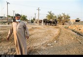 در مسیر سوسنگرد به بستان هنوز آب مورد نیاز به آن مناطق نرسیده و کشاورزان و دامداران همچنان منتظر رهاسازی بیشتری هستند