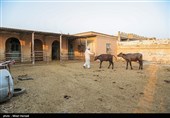 در مسیر سوسنگرد به بستان هنوز آب مورد نیاز به آن مناطق نرسیده و کشاورزان و دامداران همچنان منتظر رهاسازی بیشتری هستند