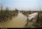 بازگشت آب به هورالعظیم 