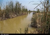 بازگشت آب به هورالعظیم 